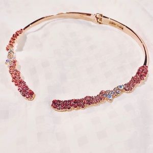 🛍️SOLD🛍️ NEW Betsey Johnson Pink Hinge Collar Necklace